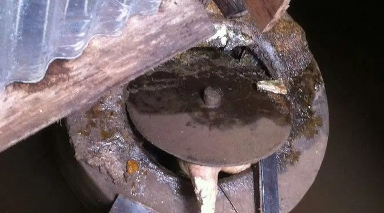 Hilang Berhari-hari, Pelayan Warung Ditemukan dalam Septic Tank