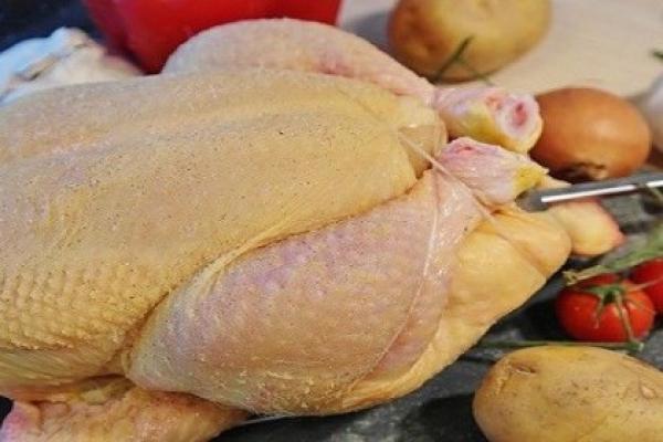 Hindari Makan 7 Bagian Tubuh Ayam Ini Kalau Mau Panjang Umur