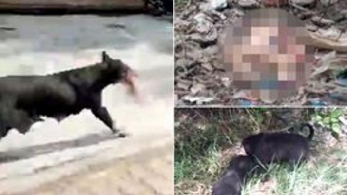 Kejam! Alasan Tak Diharapkan, Ibu Ini Lempar Bayi yang Baru Dilahirkannya