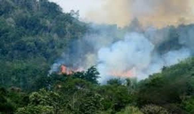 Akibat Karhutla, Kabut Asap Kembali Meyelimuti Kota Dumai