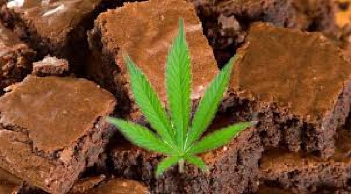 Pelaku Pembuat Brownis Ganja di Tangkap BNN