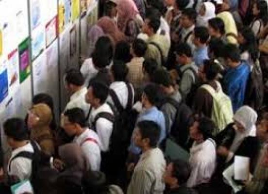 Wuih.. Minat Pencari Kerja di Dumai Tinggi