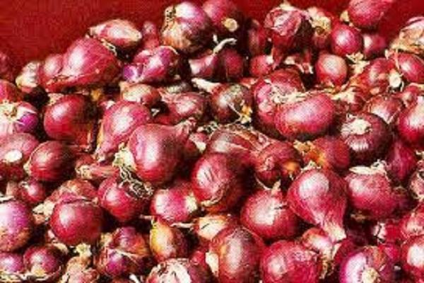 6,5 Ton Bawang Merah Ilegal Asal India Dicegah Beredar di Medan