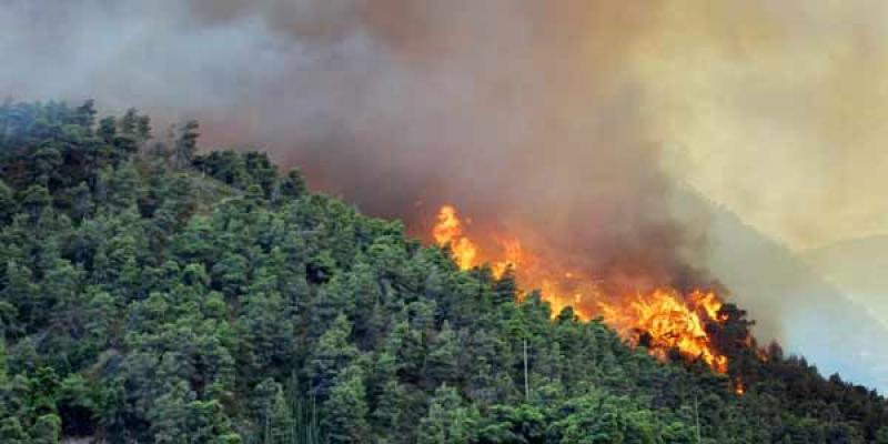 Lahan PT Suntara Gaja Pati di Dumai Terbakar