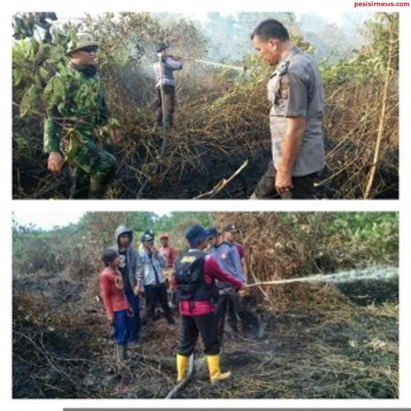 Pematang Botam di Rohil Terbakar, Polsek dan Danramil Ikut Padamkan Api