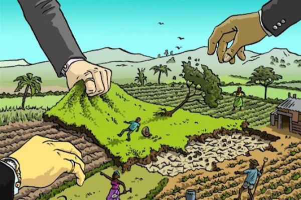 Terbakar, 30 Ha Lahan PT SRL Terancam Diambil Alih Negara