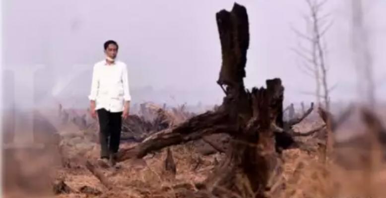 Hampir Sejuta Hektare Lahan Akan Dibagikan Presiden Jokowi Untuk Masyarakat