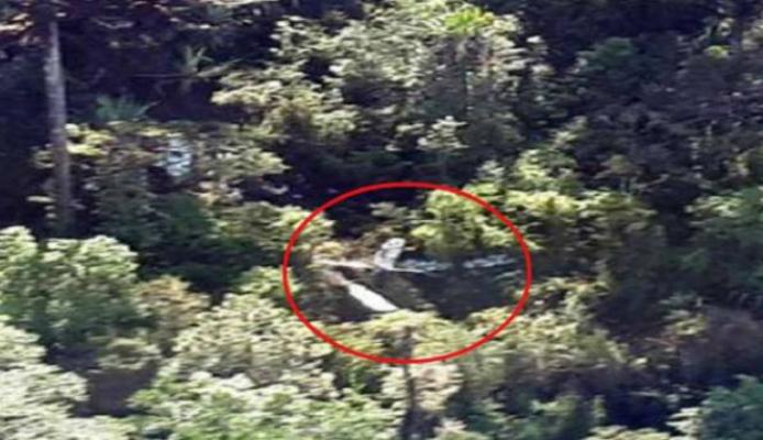 Pesawat Hilang di Papua Ditemukan di Ketinggian 6.400 Kaki