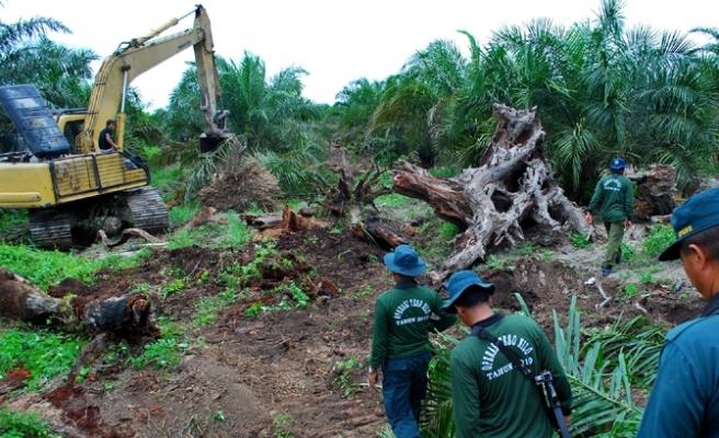 Tertangkap Sedang Merambah Taman Nasional Tesso Nilo di Kecamatan Langgam Pelalawan, 9 Orang dan 4 Alat Berat Diamankan