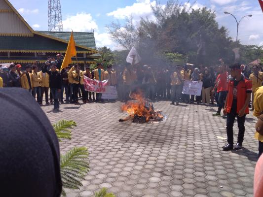 Aksi Demo Mahasiswa, Pemkab Inhil Beri Klarifikasi Anjloknya Harga Kelapa