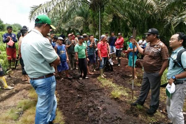 Harimau Bonita Muncul Lagi, Warga Diminta Kenakan Topeng