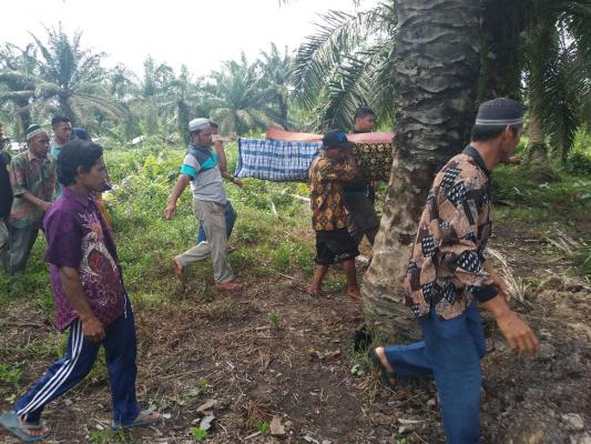 Ibu dan Anak di Inhil Ditemukan Tewas Mengapung di Dalam Kanal 