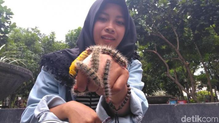Mahasiswi Ini Hobi Main Ulat Bulu, Lihat Nih Aksi Ekstremnya