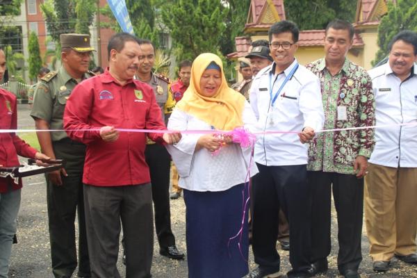 Sekda Inhil Buka Kegiatan Pemilihan Duta GenRe Dan Ajang Kreatifitas Remaja Provinsi Riau Tahun 2018
