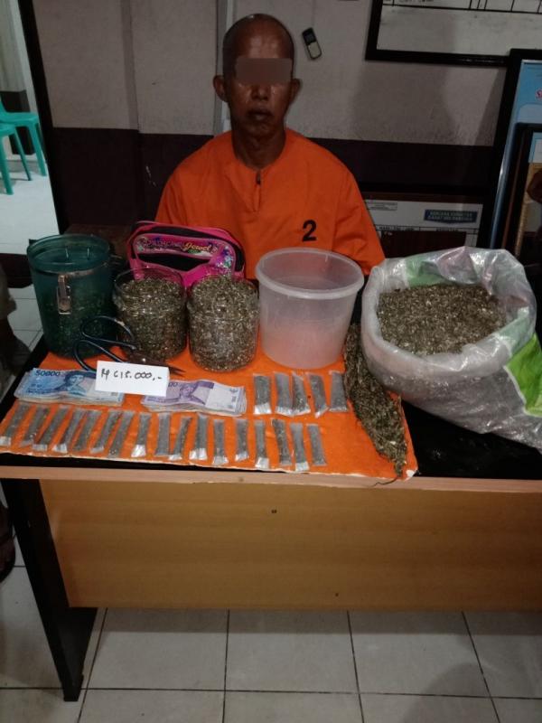 pria paruh baya nekat berjualan dan menyemaikan bibit ganja