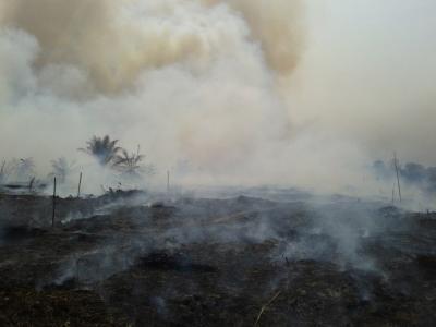 El-Nino Datang, Kebakaran  Mengancam, Pemerintah Harus Serius Lindungi Gambut