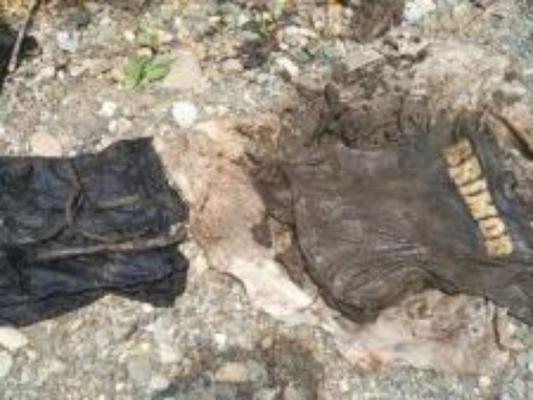 Ditemukan Tengkorak Berbungkus Seragam Brimob di Aceh Jaya, Diduga Korban Tsunami