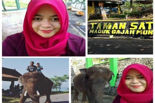 Seorang Dokter Hewan Tewas Diinjak Gajah Saat Akan Mengambil Foto
