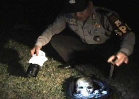 Tengkorak Manusia Ditemukan di Hutan Sagu Desa Mantiasa Meranti