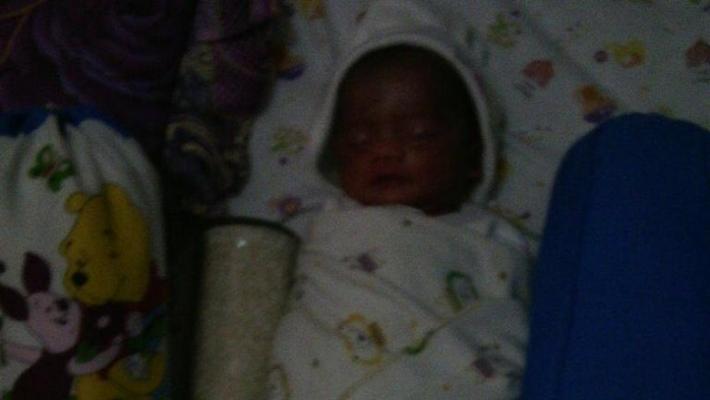 Warga Temukan Bayi Perempuan di Bawah Pohon, Masih Ada Ari-ari