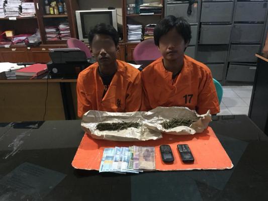 Jual Ganja, Dua Pria di Tembilahan Ini Diringkus Polisi 