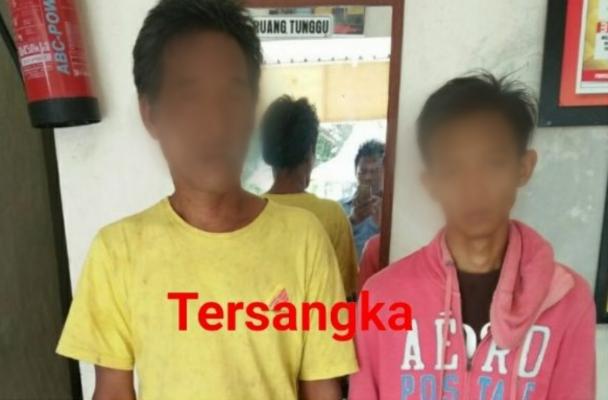 Spesialis pencuri sarang burung walet di aman kan kepolisian, ini kisah nya.