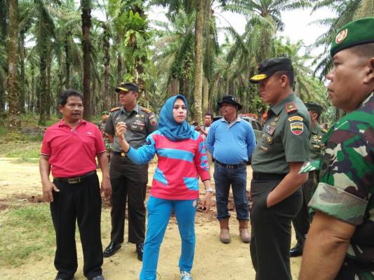 Presiden RI akan saksikan langsung replanting dan penyerahan sertifikat prona di Bagan Batu - Rokan Hilir
