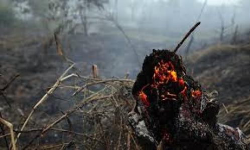  Bupati Bengkalis: Warning Pembakar Lahan Yang Menyebabkan Kahutla
