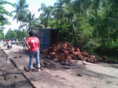 Jalan Poros Bantan Rusak Memakan Korban