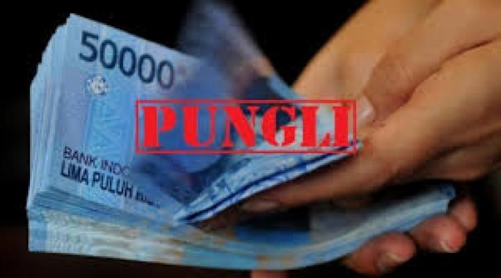 Disdik Meranti Jamin Tak Ada Pungli Dalam Penerimaan Siswa Baru