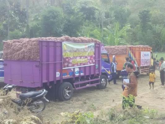 Mentan Kaget Bawang di Bima Rp 7.000/Kg, Sampai Pasar Rp 30.000/Kg