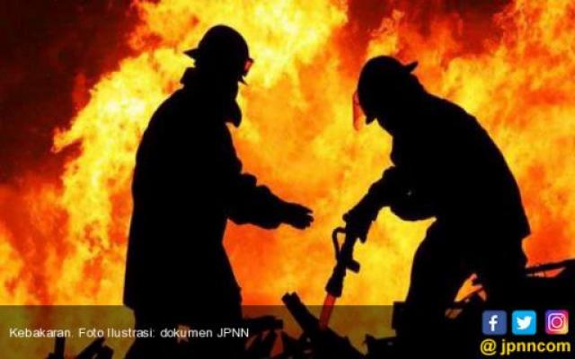 Niatnya Mengusir Ular, Pria Ini Malah Bakar Rumah Tetangga