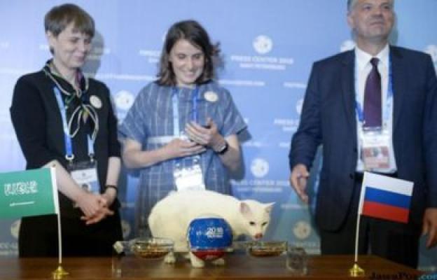 Rusia Vs Arab, Ini Prediksi Kucing Achilles