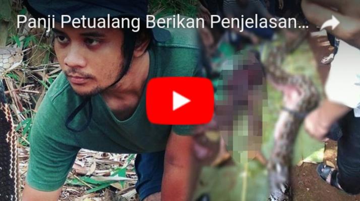 Ular Piton Memangsa Warga di Sulawesi, Ini Penjelasan Panji Petualang