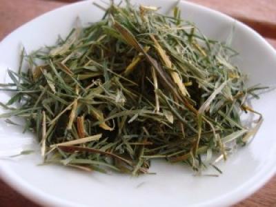   Asam Urat? Segera Minum Rebusan Daun Bambu