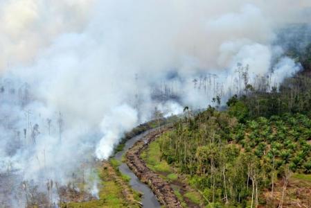 Riau Siaga Asap, Kebakaran Hanguskan 848 Hektar Lahan