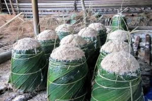 Upaya Melestarikan Pangan Tradisional
