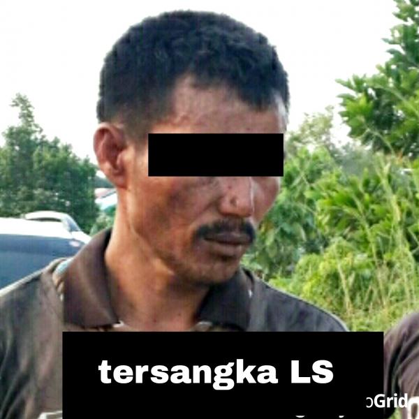 Bakar Lahan, Pria Paruh Baya Ditangkap Polsek Siak Hulu