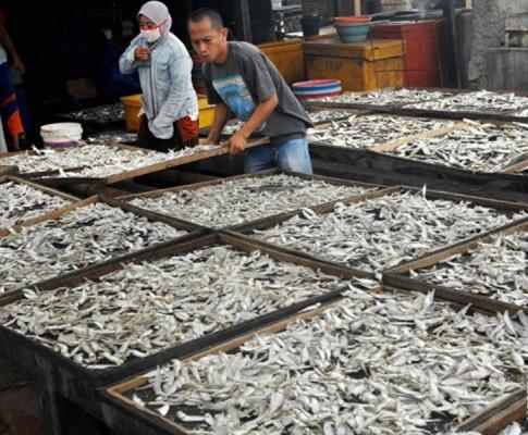 Mahasiswa Padang Berhasil Membuat Pengering Ikan Asin Terprogram