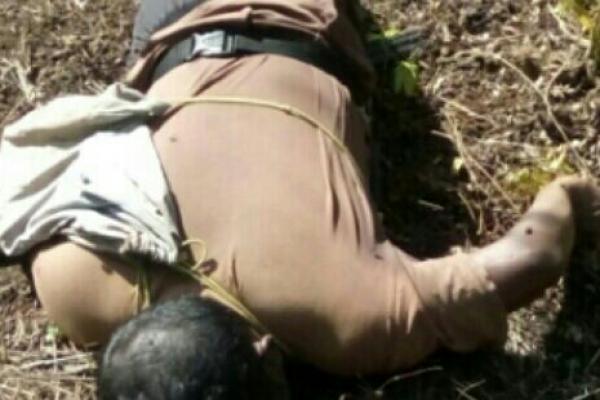 Di temukan mayat di PT. ASI Parit 10 Ujung Desa Pancur,