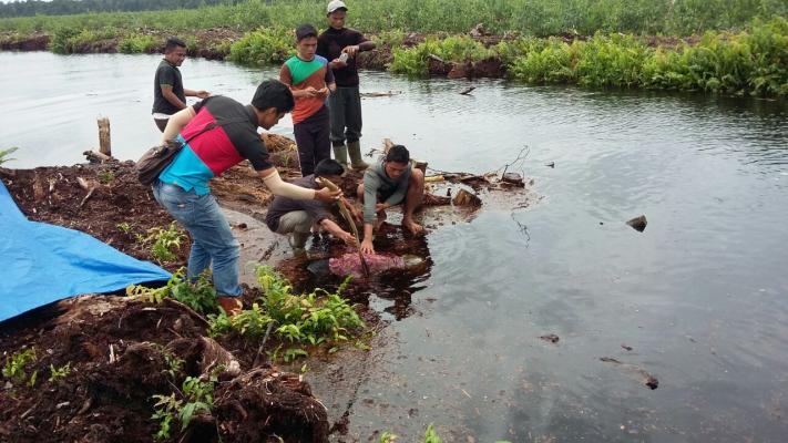 Sesosok mayat di temukan mengapung di dalam kanal.