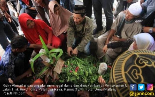 Bisikan Abah sebelum Pawang Ular Digigit Kobra Dimakamkan