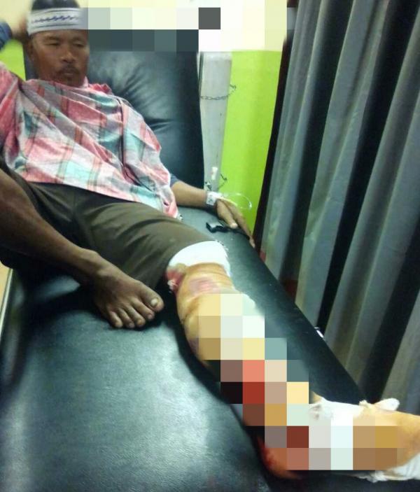 Buaya Serang Warga Danau Lancang Saat Menyeberangi Sungai Siak 