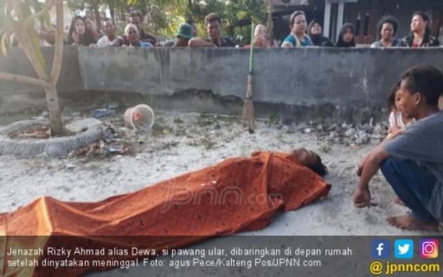 Dipatuk Kobra, Jenazah Pawang Dikelilingi Ular Peliharaannya
