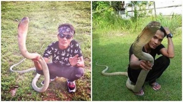 Rizky Tewas Dipatuk King Cobra yang Dia Selamatkan, Sempat Terlihat Kuat di Hadapan Warga