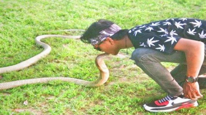 Terungkap! Ini Asal King Cobra yang Patok Rizki Hingga Tewas, Sang Ayah Yakin Anaknya Masih Hidup