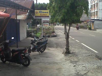 Aneh, Satpol PP Bengkalis  Perlu Belajar Perda Penertiban Baliho dan Papan Reklame