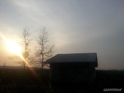 Harapan Hari Raya Korban Kebakaran Hutan di Riau