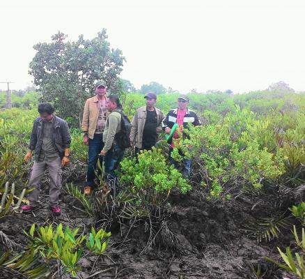 Diduga Adanya KKN, Proyek Reboisasi Hutan Manggrove Desa Tanjungbunga Diverifikasi