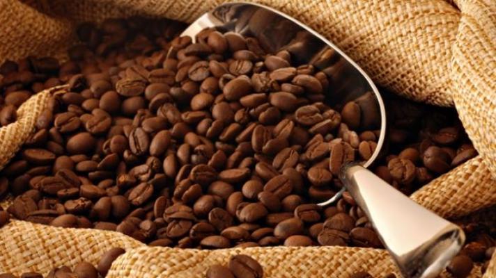 Kopi Liberika Meranti Tembus Pasar Nasional